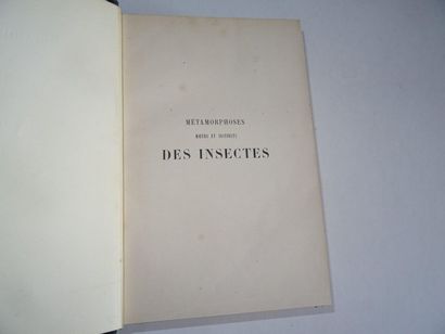 null « Métamorphose des insectes », Emile Blanchard ; Ed. Germer Baillière, Libraire...