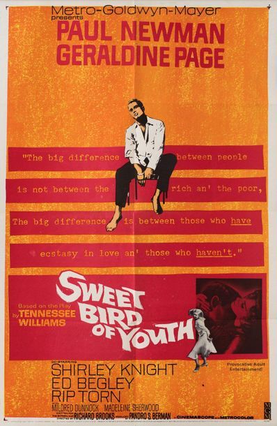 null SWEET BIRD OF YOUTH Richard Brooks. 1962.
69 x 104 cm. American poster (One-Sheet)....