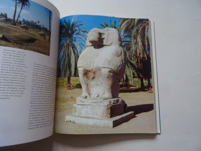 null « D’Alexandrie à Abou Simbel : Deux siècles d’images », François Xavier-Héry...