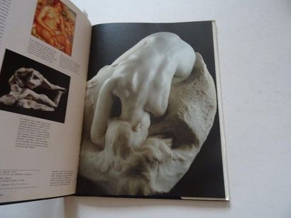 null "Rodin", Monique Laurent; Ed. Profil de l'art / Chêne, 1988, 160 p. (average...