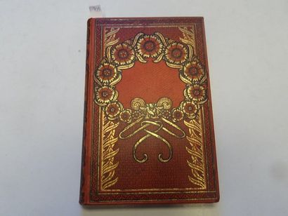 null « Les deux Mousses », Louis Rousselet ; Ed. Librairie Hachette, 1898, 192 p....