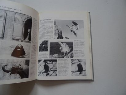 null « Le livre guide de la photographie », M. Buselle ; Ed. Robert Laffont, 1979,...