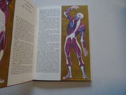 null "Les merveilles du corps humain, M. Wilson; Ed. Editions des deux coqs d'or,...