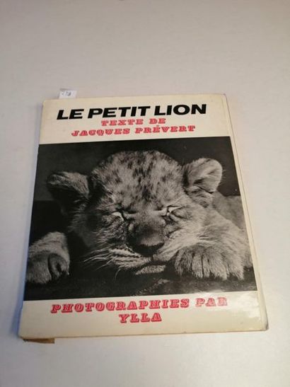 null "Le petit lion ", Jacques Prévert, Ylla ; Ed. Arts et métiers graphiques, 1958,...