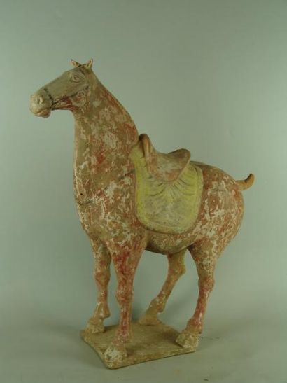 TANG (618 - 907) Cheval debout sur une terrasse. Il porte une selle sur un tapis....