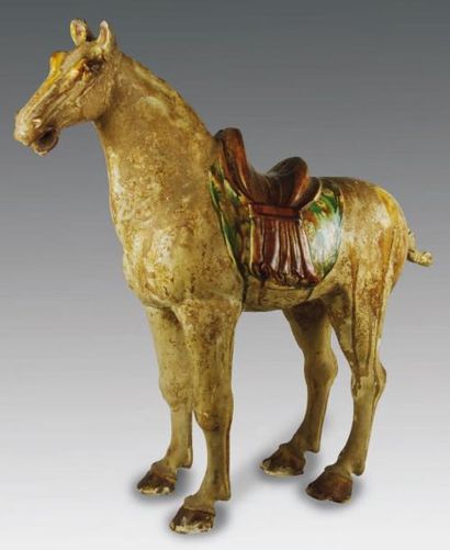 TANG (618 - 907) Cheval debout, portant une selle sur un tapis. En terre cuite à...