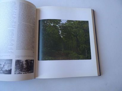null « Sisley », [catalogue d’exposition], Œuvre collective sous la direction de...