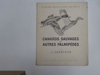 null « Canards sauvages et autre palmipèdes », J. Oberthur ; Ed. Durel éditeur, 1948,...