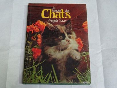null « La beauté des chats », Angela Sayer ; Ed. Princesse, 1977, 158 p. (état d...