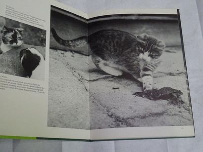 null "La beauté des chats", Angela Sayer; Ed. Princess, 1977, 158 p. (state of u...