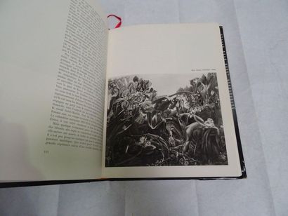 null "Le Surréalisme et la peinture, André Breton; Ed. Gallimard, 1965, 428 p. (very...