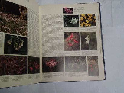 null « L’art des jardins », Hugh Johnson ; Ed. Fernand Nathan, 1980, 272 p. (état...