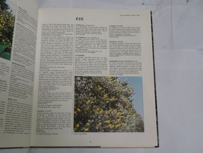 null « Les couleurs de votre jardin », Pénélope Hobhouse ; Ed. Fernand Nathan, 1985,...