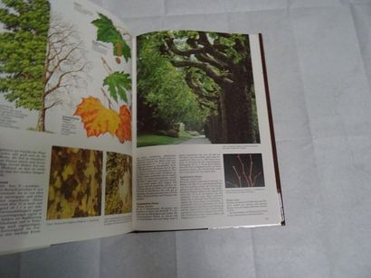 null « BLV Bildatlas der Bäume », H. Edlin / M. Nimmo ; Ed. BLV Verlagsgesellschaft,...