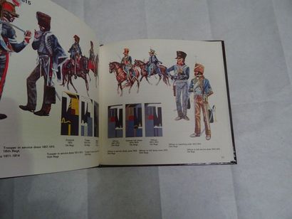 null "British light Cavalry," John Pimlott; Almark Publishing, 1977, 48 p. (state...