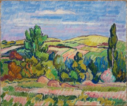 Louis NEILLOT (1898-1973) 
Paysage fleuri



Huile sur toile, signée en bas à droite



54...