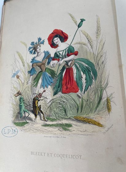 J. J. GRANDVILLE 
Les Fleurs animés, new edition, Garnier Frères, 1867.两本半皮卷，270...