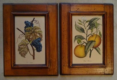 null Set of eight framed pieces.