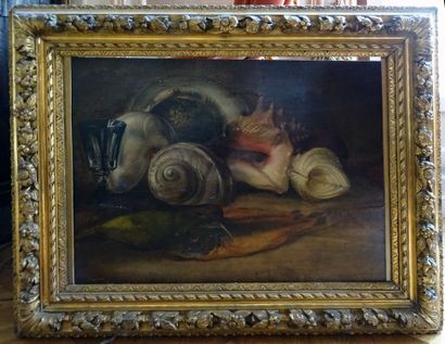 null Still life with shells

Oil on panel

62 x 45 cm

Slot