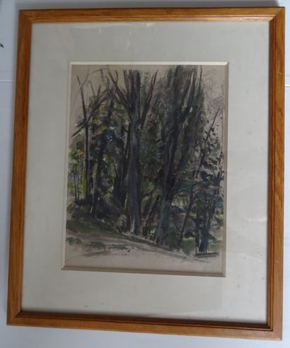 null Georges Edmond DARGOUGE (1897-1990)

Bois de Boulogne

Pastel signé en bas à...