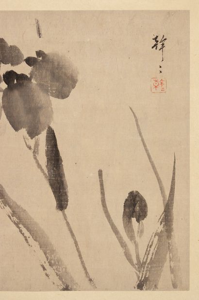JAPON - XIXE SIÈCLE Deux encres sur soie montées en rouleau. iris dans leur feuillage,...