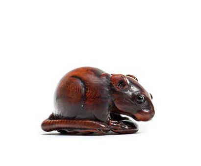 JAPON - Epoque EDO (1603 - 1868) Wooden netsuke, rat holding a chestnut between its...