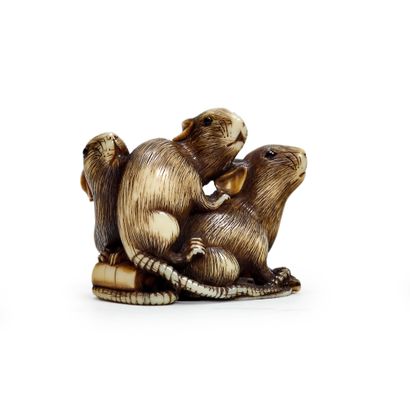 JAPON - XIXE SIÈCLE * Netsuke en ivoire, trois souris accolées, posant les pattes...