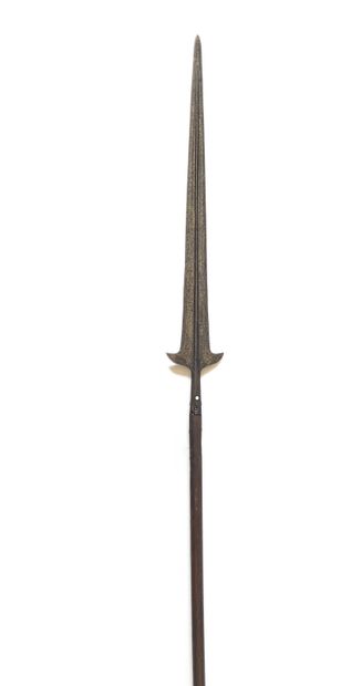 Pertuisane with long estoc iron with median...