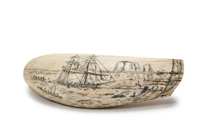 null Scrimshaw
Cetacean hunting scene
Polished and finely engraved sperm whale tooth
Seaman's...