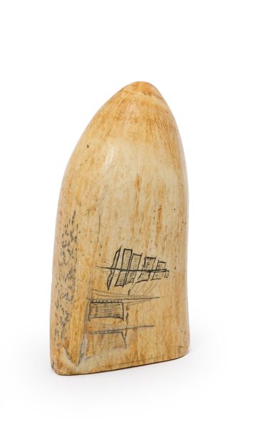 EUROPE, XIXème siècle Scrimshow partially engraved on a sperm whale tooth
H: 13 ...