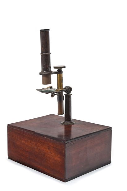 null Entomologist's microscope in a mahogany case
France, 19th century
