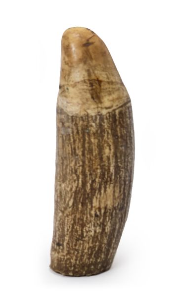 EUROPE, XIXème siècle * Small unpolished sperm whale tooth
H: 12 cm