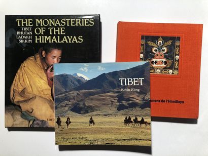 null 3 Volumes : "THE MONASTERIES OF THE HIMALAYAS, TIBET BHUTAN LADAKH SIKKIM",...