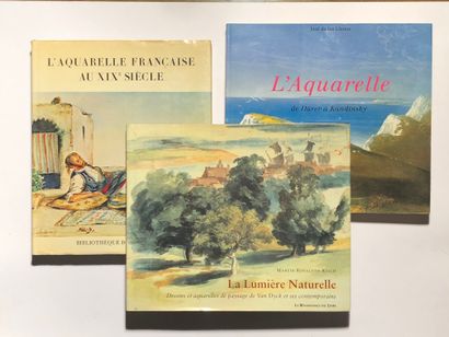null 3 Volumes : "LA LUMIÈRE NATURELLE, Dessins et Aquarelles de Paysage de Van Dyck...