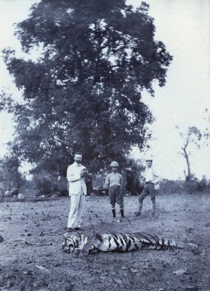 AUTEUR non identifié Chasse au tigre, Inde, c. 1910 2 tirages argentiques d'époque...