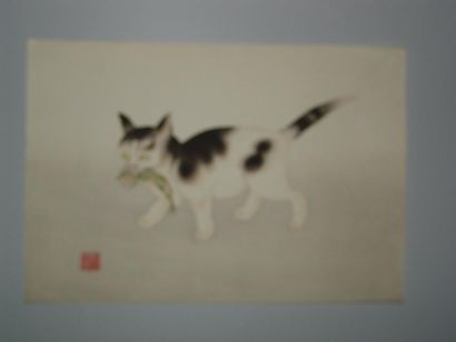 JAPON Estampe d'Aoyama, un chat tenant une grenouille. Vers 1930.
