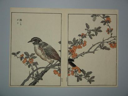 JAPON Diptyque de Bunrei, série des 100 oiseaux. 1893.