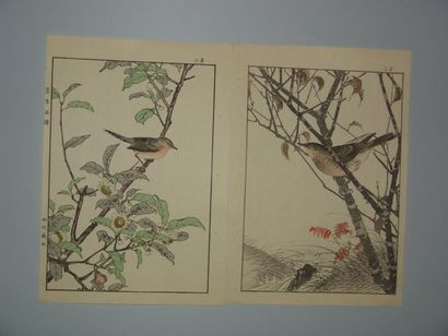 JAPON Deux estampes de Keinen, série des oiseaux aux quatre saisons. 1891.