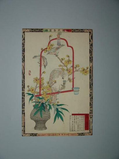 JAPON Estampe de Bairei, un cacatoès sur son perchoir. 1881.