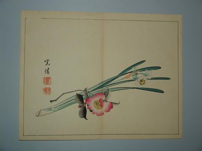 JAPON Deux estampes attribuées à Hoitsu, sujet de fleurs. Vers 1885.