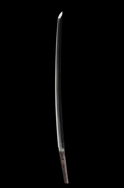 null Shinto wakizashi
Epoque EDO (1603 - 1868), XVIIe siècle
Signé (mei) : Kiku ichi,...