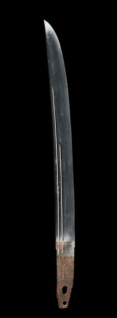 null Shinto wakizashi
Milieu Epoque EDO (1603 - 1868)
Non signé (mumei)
Lame (sugata)...