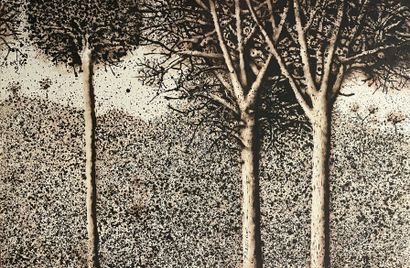 Mario PRASSINOS (1916-1985) 


Les arbres, 1984



Huile sur papier, signée sur le...