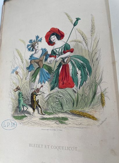 null J. J. GRANDVILLE 

Les Fleurs animés

Nouvelle édition, Garnier Frères, 1867

Deux...