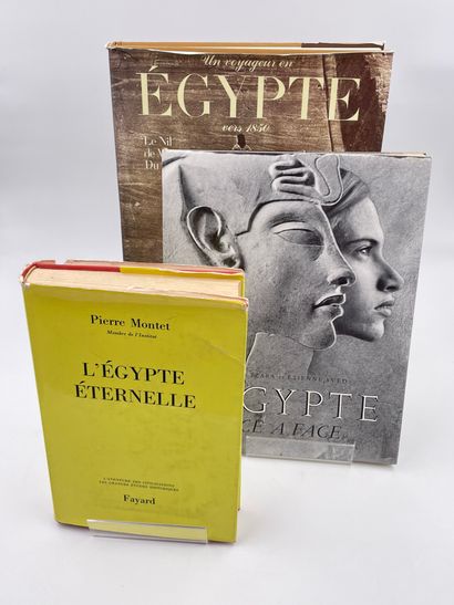 null 3 Volumes : "UN VOYAGEUR EN ÉGYPTE VERS 1850, LE NIL DE MAXIME DU CAMP", Présenté...
