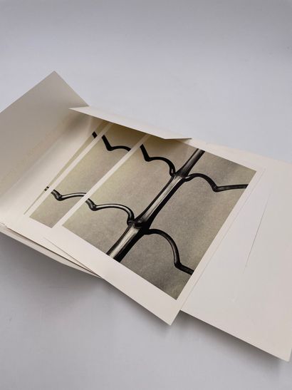 null 1 Volume : "BOKELBERG", Karl Blossfeldt, Enveloppe contenant 9 cartes postales...