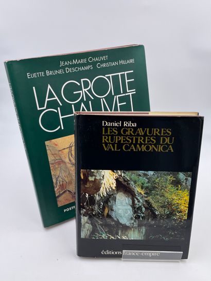 null 2 Volumes : 

- "LES GRAVURES RUPESTRES DU VAL CAMONICA", Daniel Riba, Ed. Éditions...
