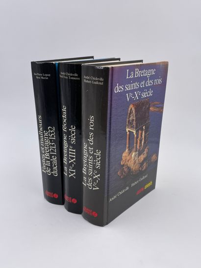 null 3 Volumes :

- "LA BRETAGNE DES SAINTS ET DES ROIS VÈME-XÈME SIÈCLE", André...