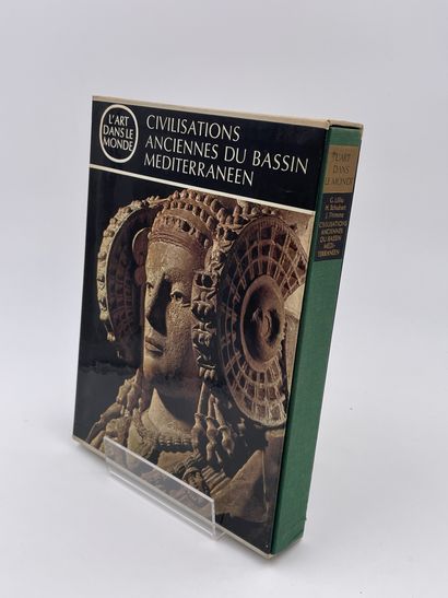 null 2 Volumes : 

- "LA CIVILISATION DE LA SADAIGNE, DU DÉBUT DU NÉOLITIQUE À LA...
