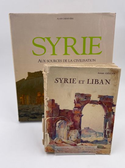 null 2 Volumes :

- "SYRIE, AUX SOURCES DE LA CIVILISATION", Textes & Photographies...